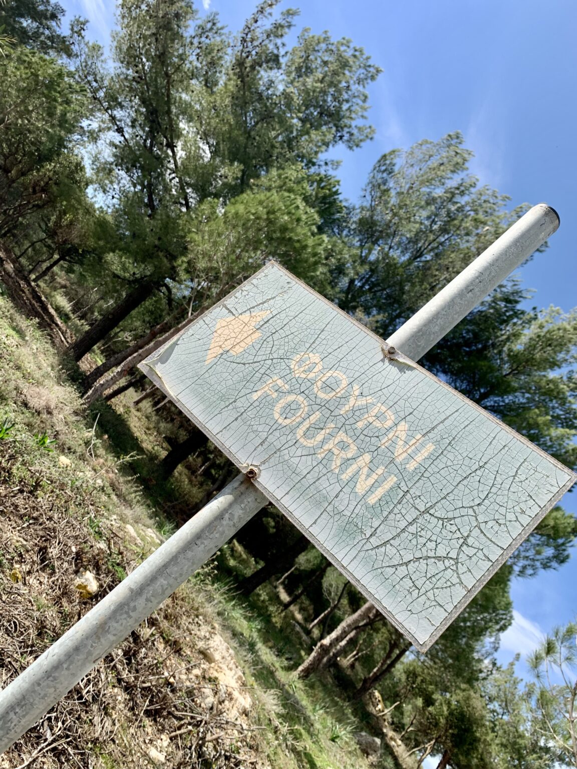 Fourni Forest